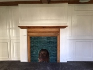 Owl Image